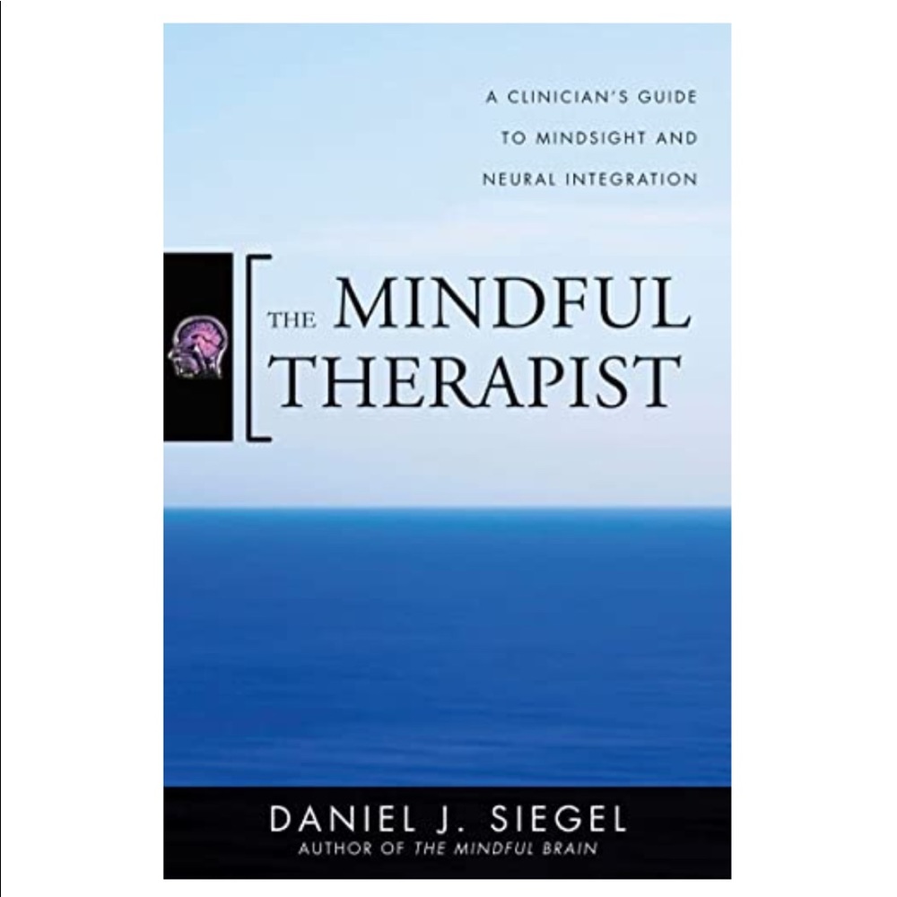 The Mindful Therapist: A Clinician's Guide to Mindsight and Neural Integration